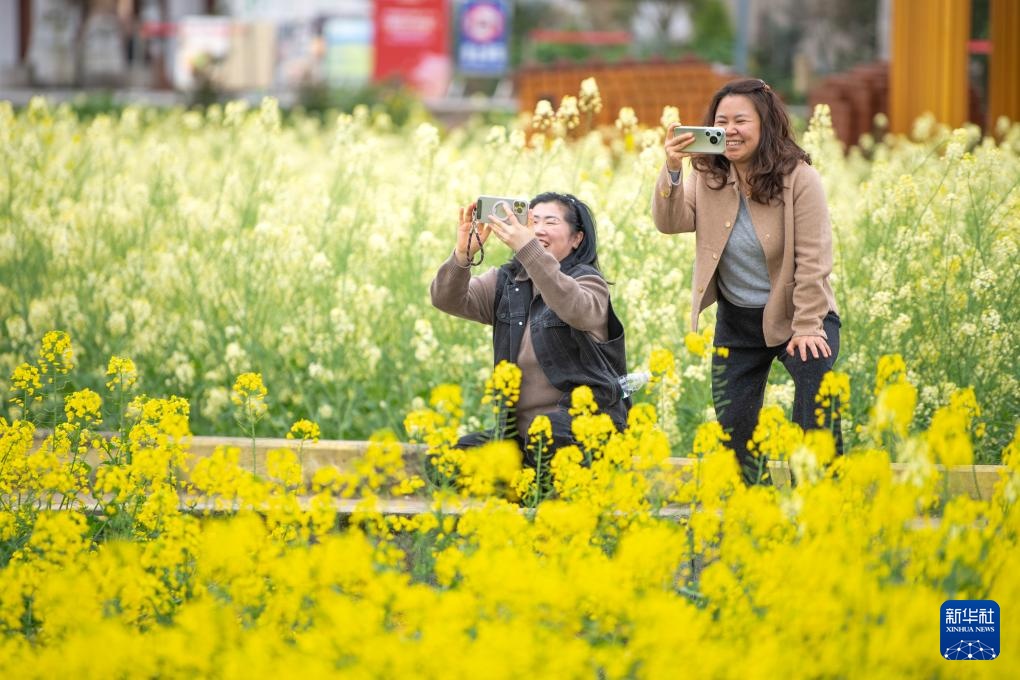 重庆璧山：花开引客来 融合促振兴