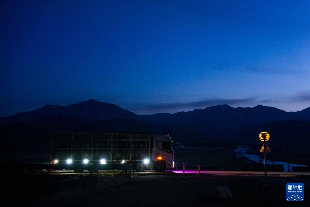 “异地借牧”牧人的春日转场