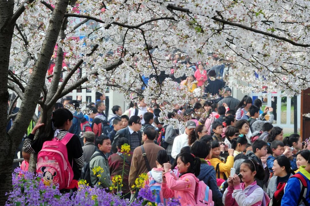 “春秋假”写入报告，别让家长“请假”