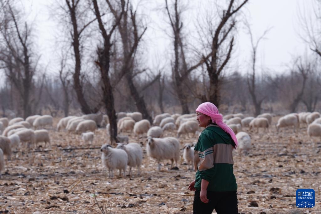 “异地借牧”牧人的春日转场