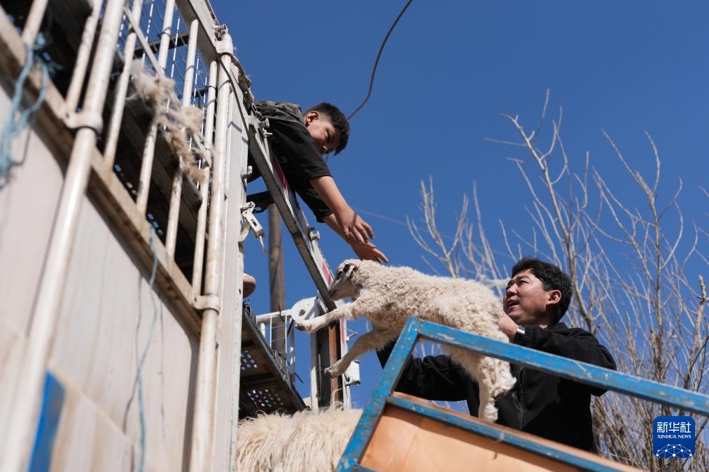 “异地借牧”牧人的春日转场