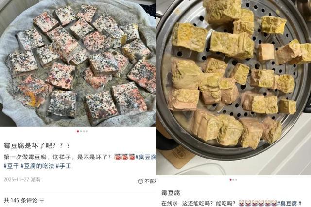 豆腐长白毛是地方小吃，长彩毛只会让你成为绝命毒师