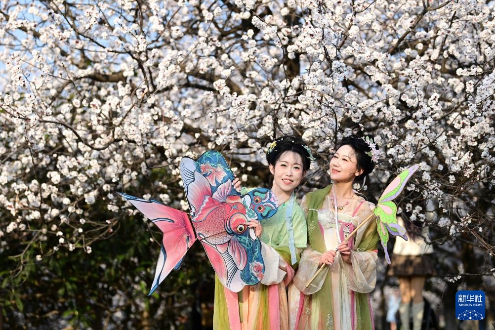 长安春日繁花开 长安春日繁花开