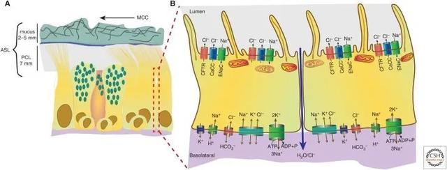 经常挖鼻孔，后来都怎么样了？有这种情况的人真的要注意了