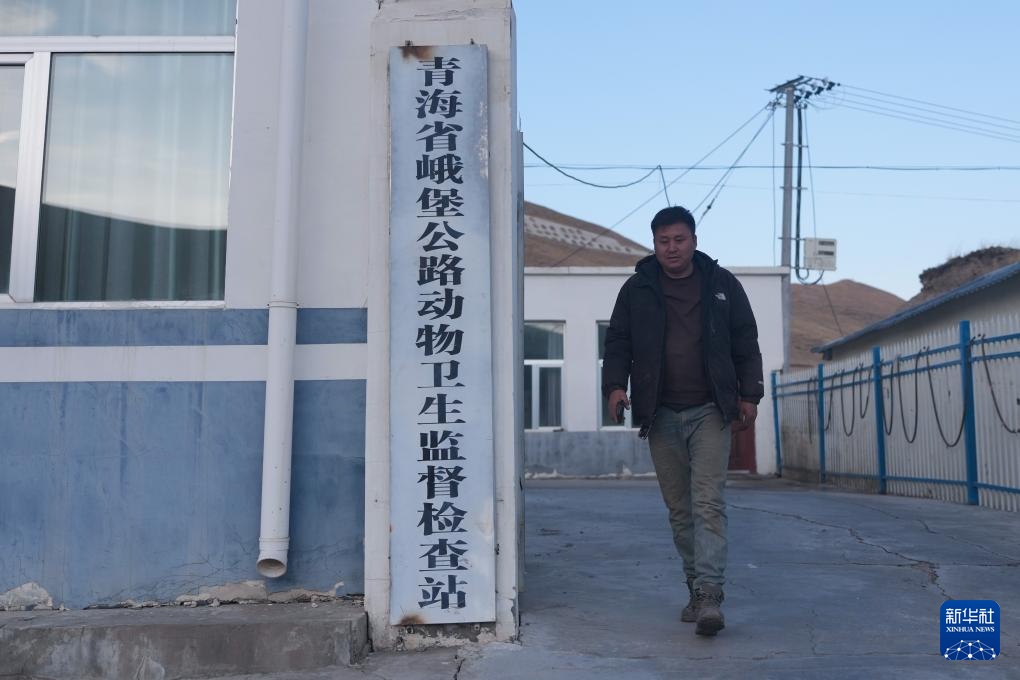 “异地借牧”牧人的春日转场