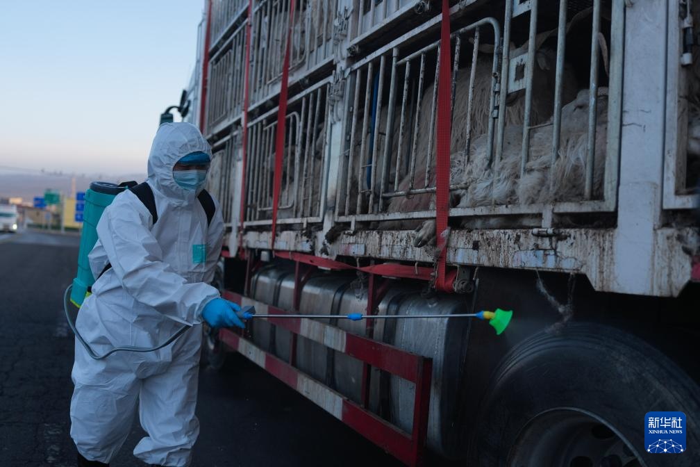 “异地借牧”牧人的春日转场