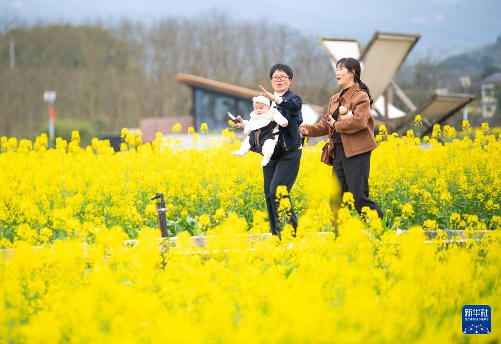 重庆璧山：花开引客来 融合促振兴