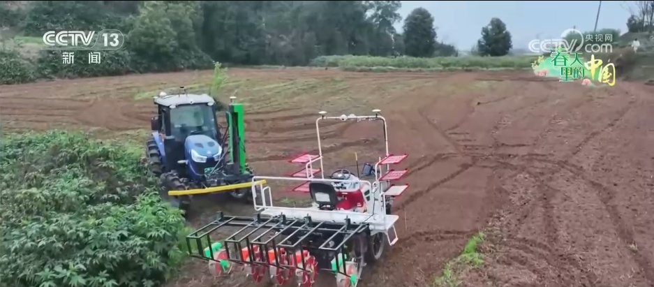 “智慧”春耕春管抢农时 农技人员田间“把脉”护航丰收