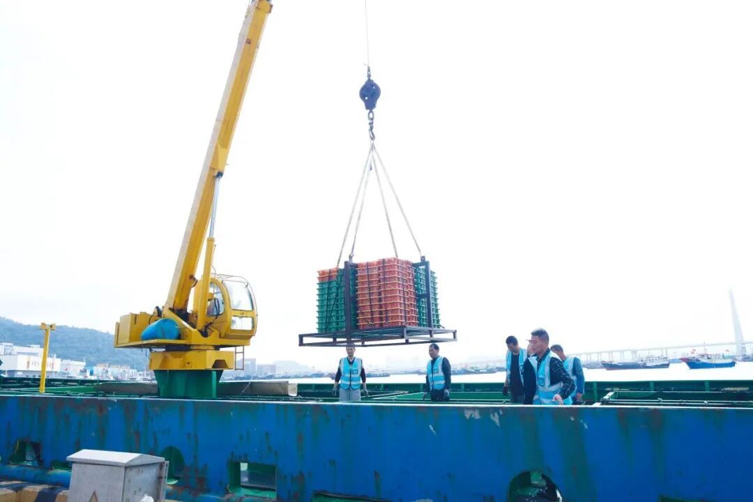 生鲜坐上“头等舱”，海南→珠海最快一日达
