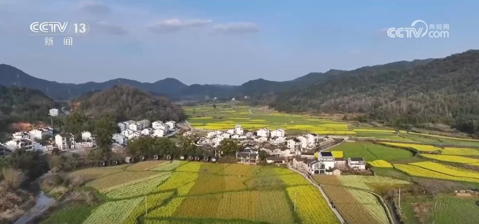 繁花迎客解锁农文旅新体验 以花为媒绘就春日消费新图景