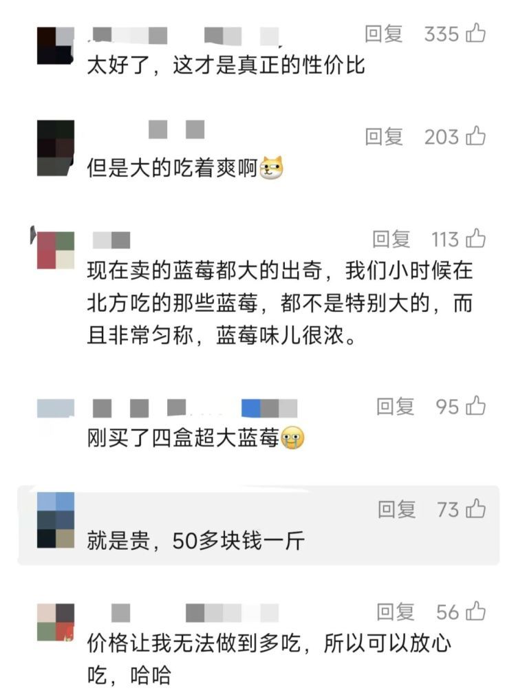 真不建议买这种蓝莓!很多人不知道的真相! 真不建议买这种蓝莓!很多人不知道的真相!