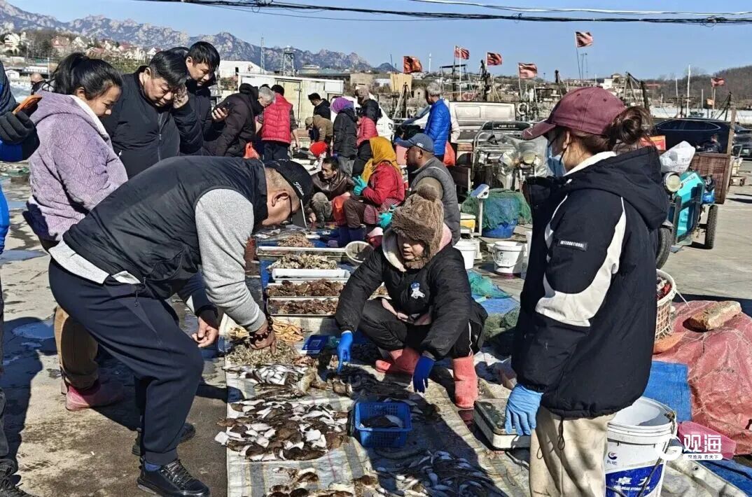 青岛开春的第一口“鲜”来了!一上岸就被抢购…… 青岛开春的第一口“鲜”来了!一上岸就被抢购……