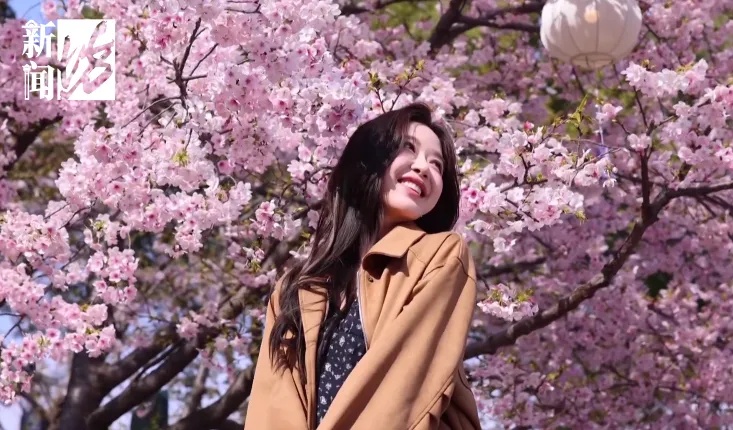 扛过今晨的冷,上海周六将迎17℃!这里即将迎来人山人海... 扛过今晨的冷,上海周六将迎17℃!这里即将迎来人山人海...