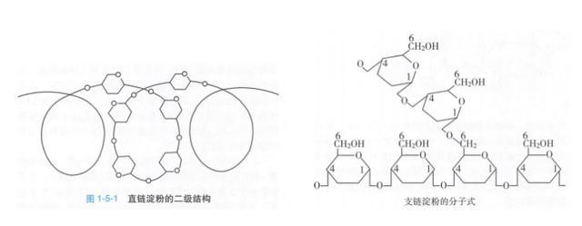 警惕！这 7 种食物不甜却让你血糖飙升，很多人经常吃