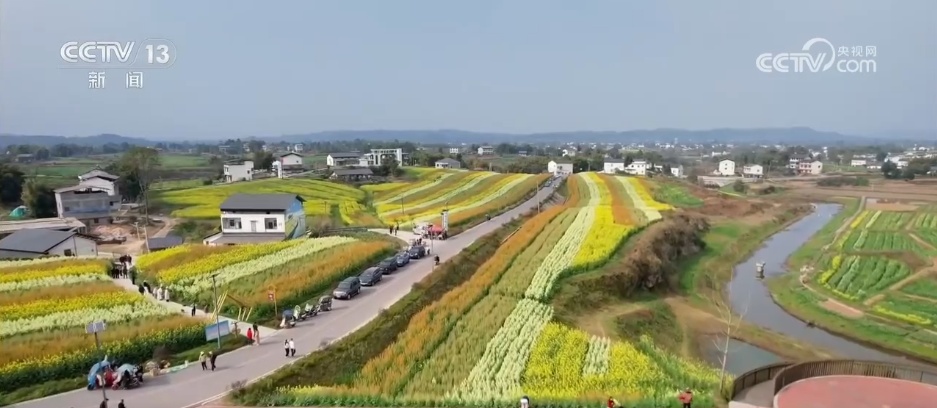 繁花迎客解锁农文旅新体验 以花为媒绘就春日消费新图景