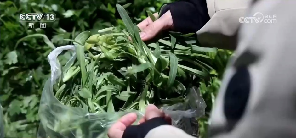 AI护航千里争“鲜”路 新模式新技术助力农产品从田间直达餐桌 AI护航千里争“鲜”路 新模式新技术助力农产品从田间直达餐桌