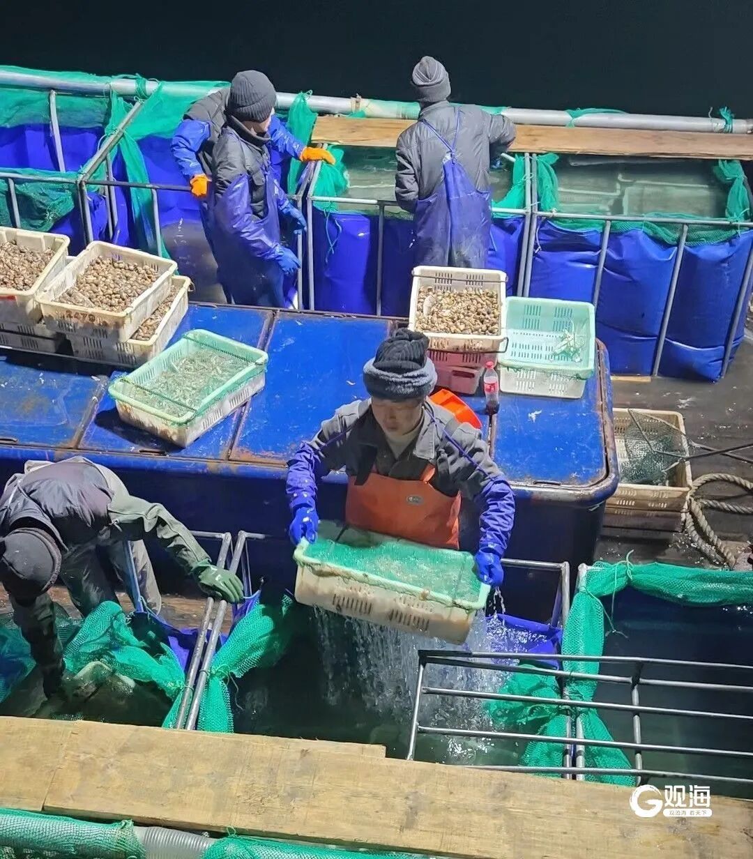 青岛开春的第一口“鲜”来了!一上岸就被抢购…… 青岛开春的第一口“鲜”来了!一上岸就被抢购……