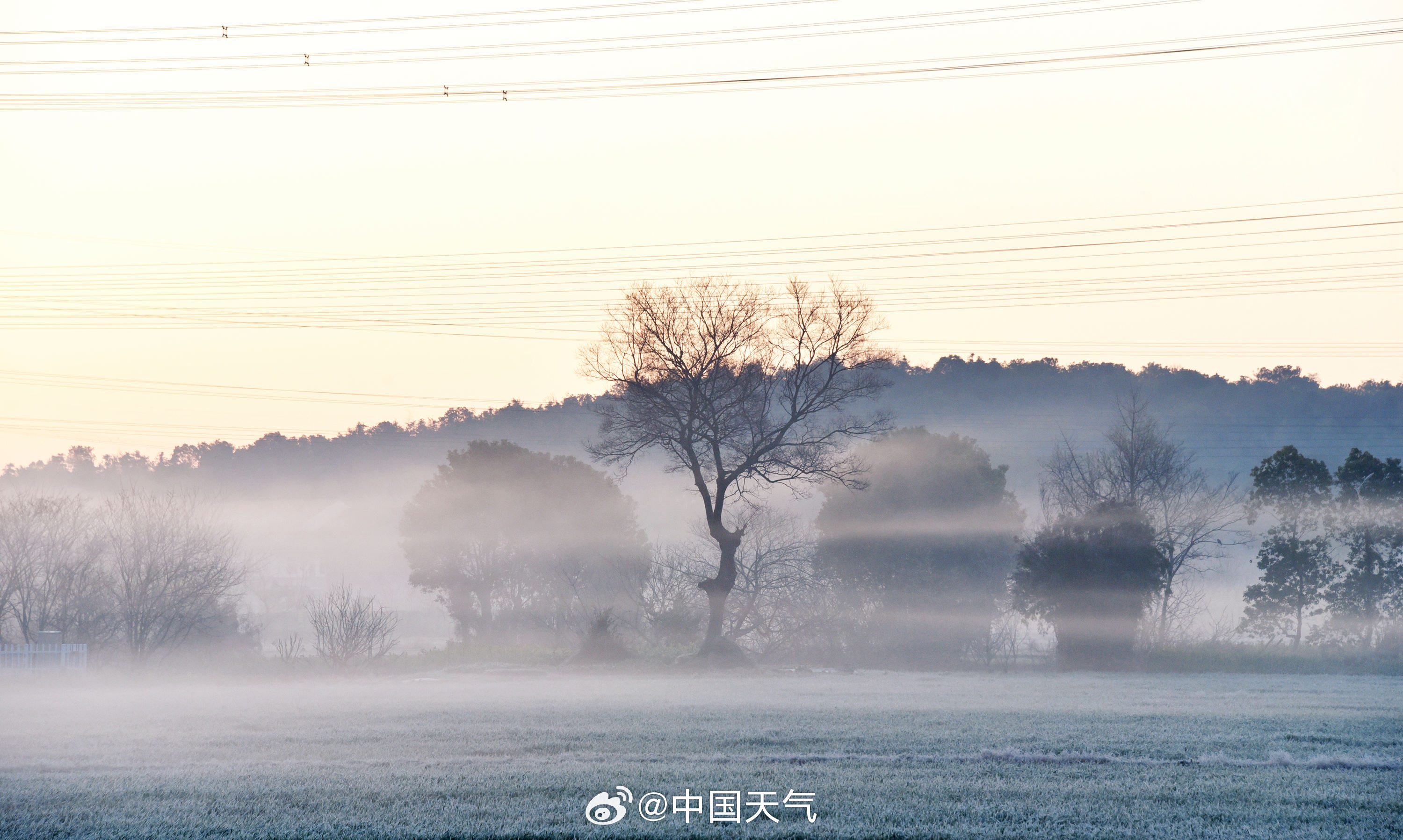 又一次被中式美学惊艳了 又一次被中式美学惊艳了