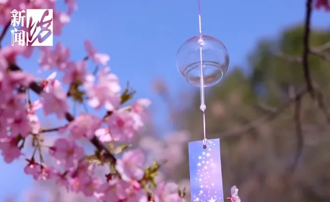 扛过今晨的冷,上海周六将迎17℃!这里即将迎来人山人海... 扛过今晨的冷,上海周六将迎17℃!这里即将迎来人山人海...