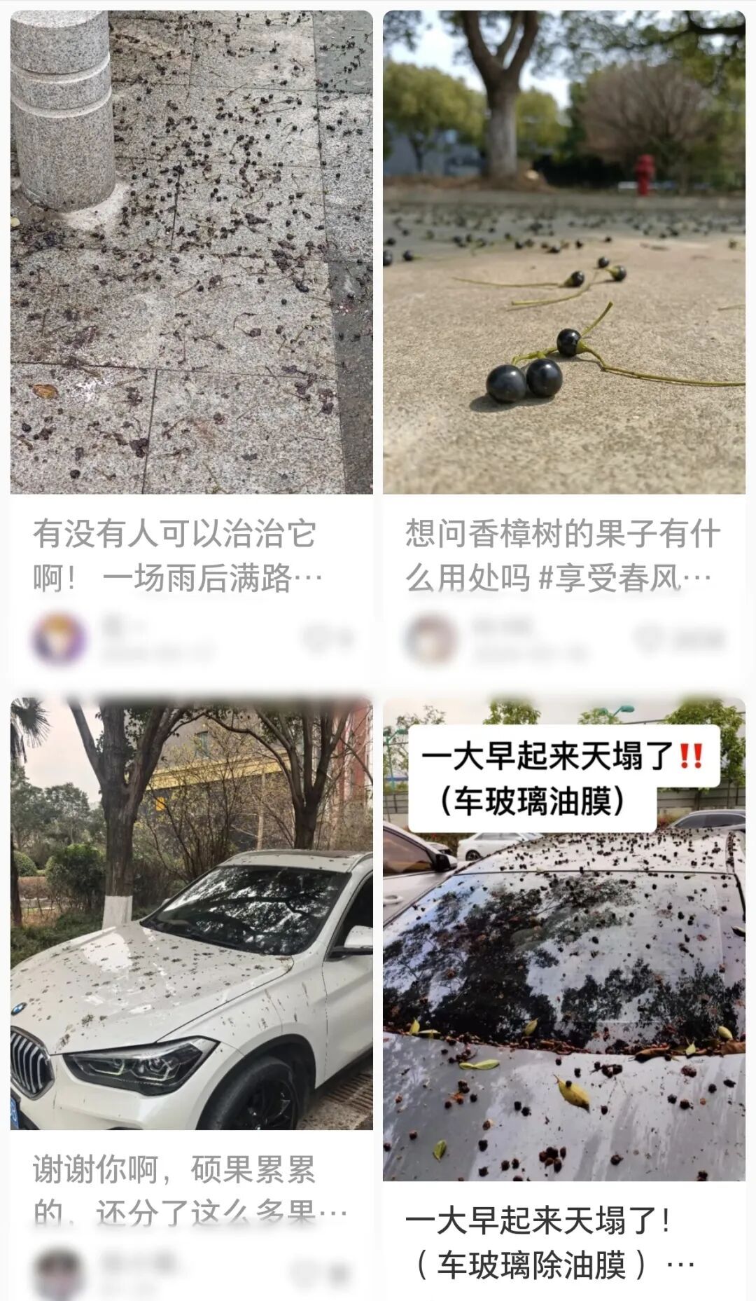 不要捏,不要踩,杭州街头正大量出现!不少人吐槽:苦不堪言 不要捏,不要踩,杭州街头正大量出现!不少人吐槽:苦不堪言