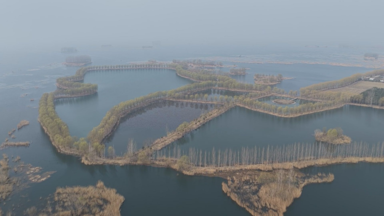 山东济宁:南四湖今日起禁渔 持续百日守护生态 山东济宁:南四湖今日起禁渔 持续百日守护生态