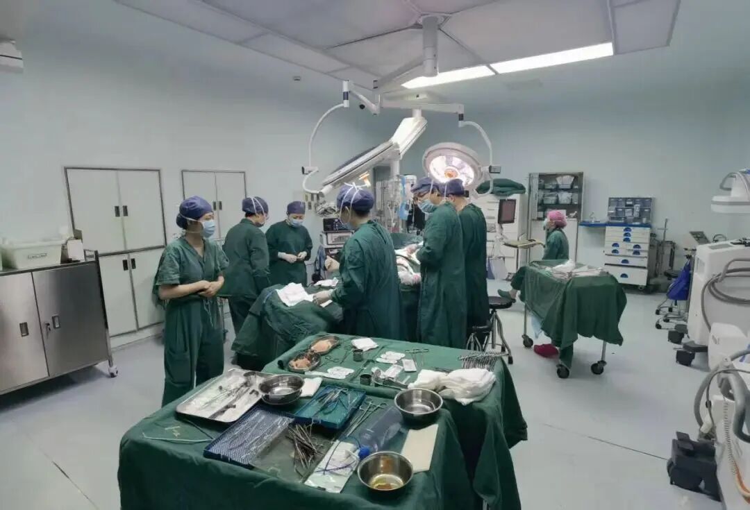 肚子上的肉肉立大功!女子患乳腺癌,医生从腹部"借回"一对新乳房 肚子上的肉肉立大功!女子患乳腺癌,医生从腹部"借回"一对新乳房