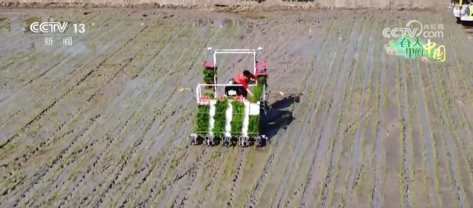 希望的田野一片生机勃勃 新技术新模式“大显身手”保障春耕生产