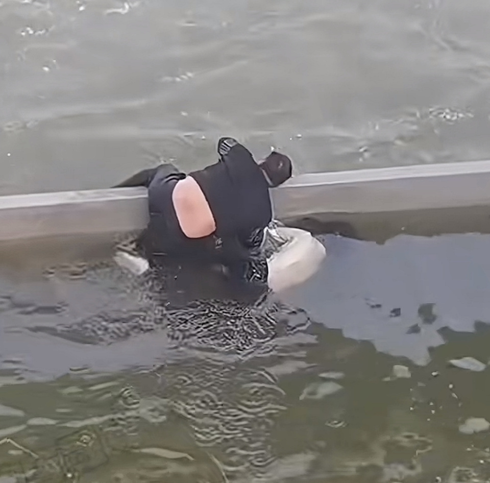 河南周口一大哥在一闸口救起落水女子，回家后隐瞒妻子谎称在水边摔倒：当时太危险了