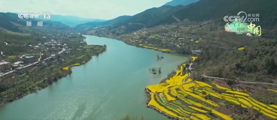 各地多彩春花“上线”激发文旅活力 “美丽经济”催热春日消费 各地多彩春花“上线”激发文旅活力 “美丽经济”催热春日消费