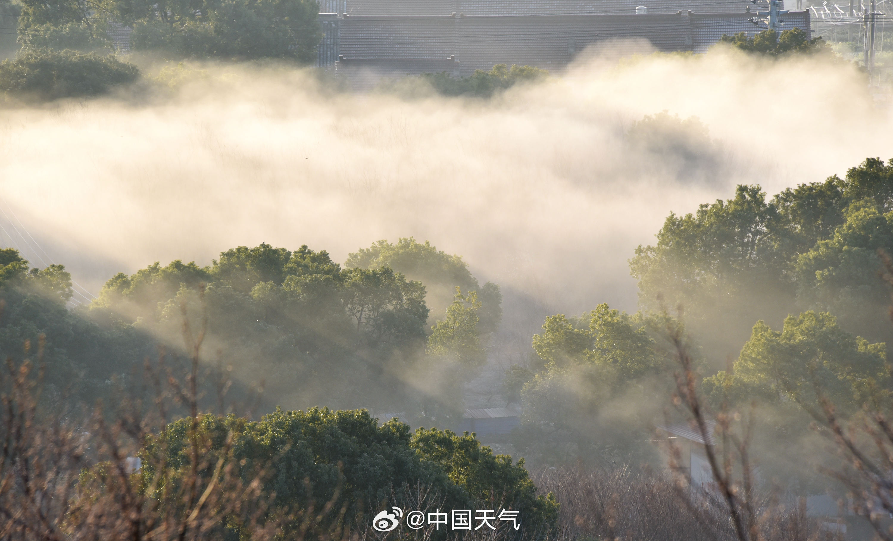 又一次被中式美学惊艳了 又一次被中式美学惊艳了