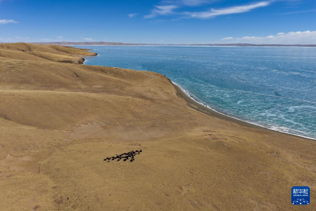 美丽中国丨春日黄河源