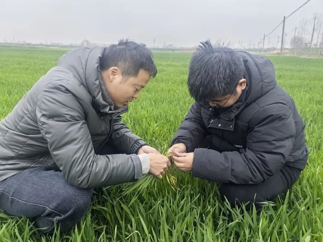 从春天出发 向丰年而行！各地气象部门抢抓农时助春耕