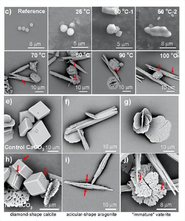 长期烧水喝VS喝桶装水,哪种更健康? 长期烧水喝VS喝桶装水,哪种更健康?