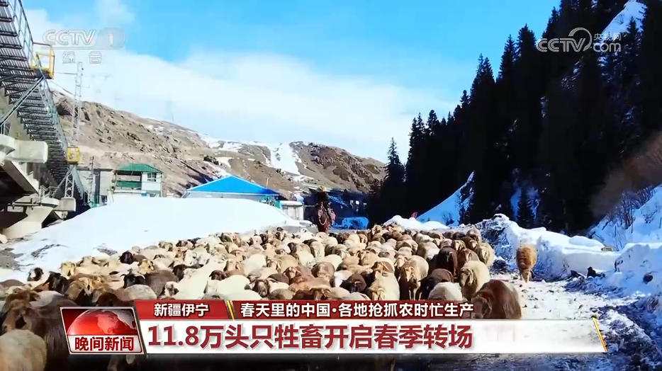 春天里的中国·各地抢抓农时忙生产