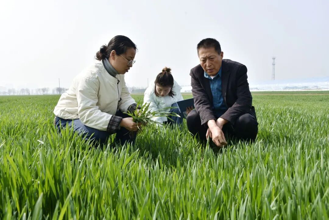 从春天出发 向丰年而行！各地气象部门抢抓农时助春耕