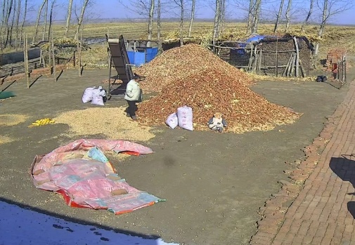 22个月萌娃躺玉米堆晒太阳走红,孩子妈妈:让孩子“接地气”;网友:我也想躺 22个月萌娃躺玉米堆晒太阳走红,孩子妈妈:让孩子“接地气”;网友:我也想躺