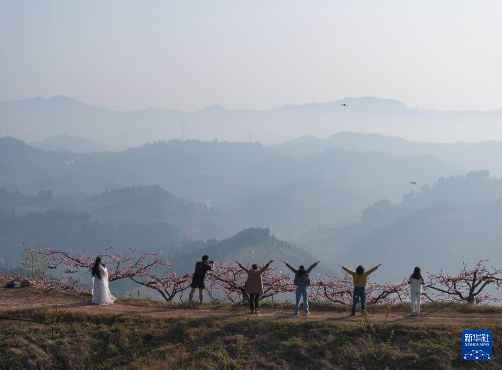 成都龙泉山桃花盛开 成都龙泉山桃花盛开