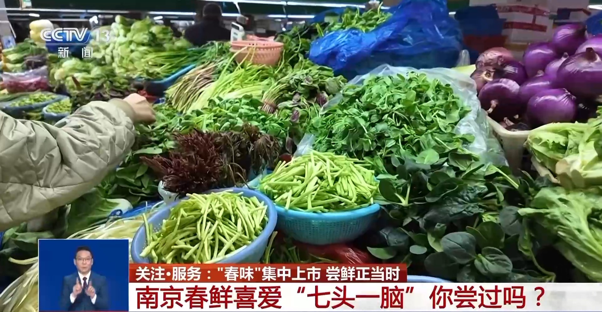 春天吃什么？这份春菜地图请查收