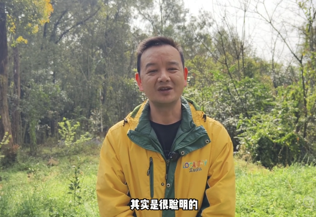 新晋网红!老虎版“没头脑”和“不高兴”爆火出圈 新晋网红!老虎版“没头脑”和“不高兴”爆火出圈