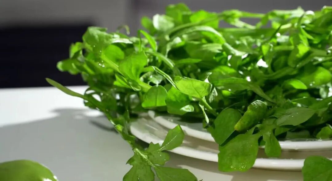 大量上市！近期郑州人挖疯了，有人却“吃进急诊室”，医生紧急提醒→