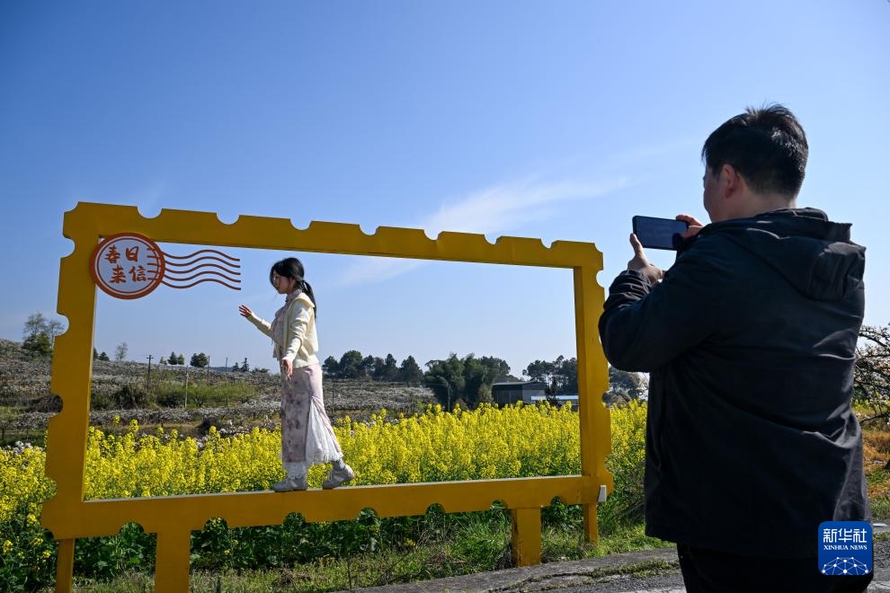 重庆永川：千树万树梨花开 农旅融合促增收