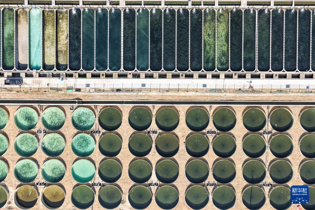 贵州岑巩:深山里“游”出三文鱼 贵州岑巩:深山里“游”出三文鱼