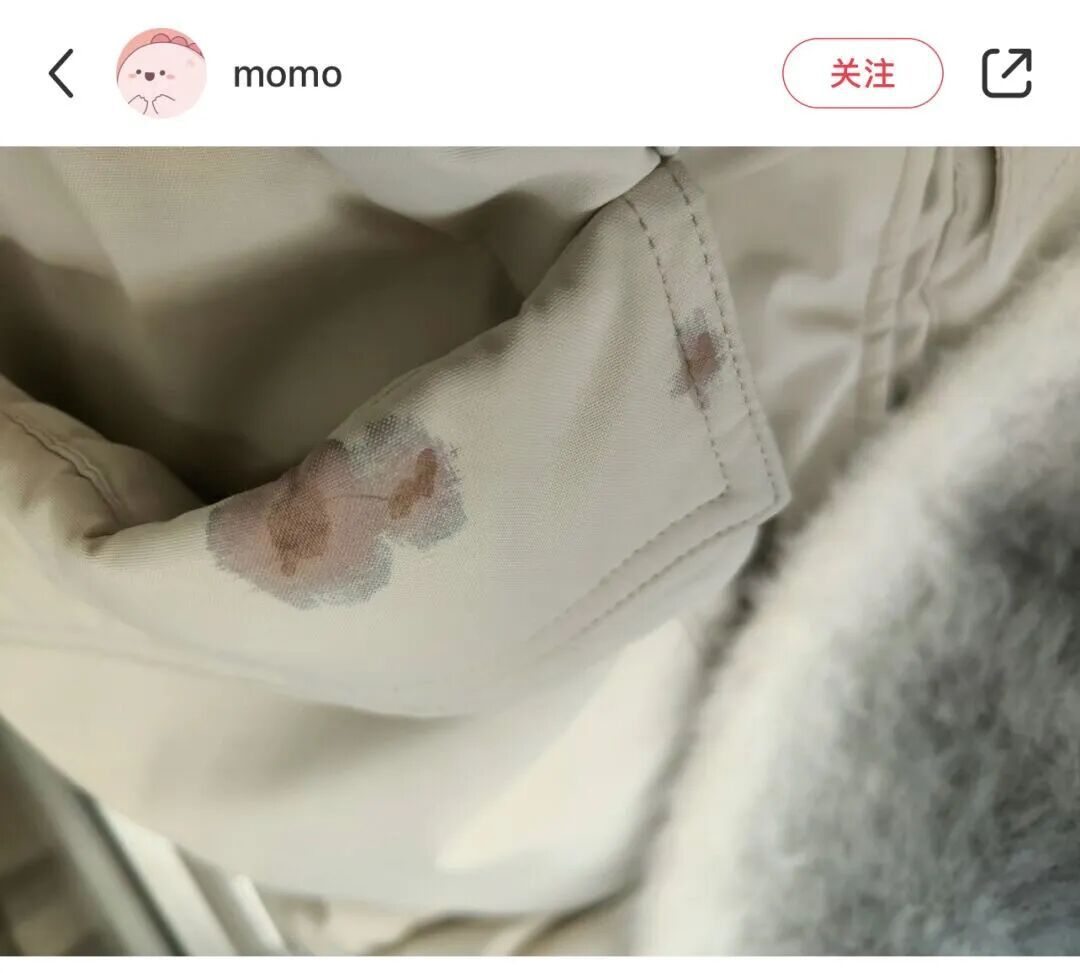 注意了!街头遍地的黑果子不要捏、不要踩 注意了!街头遍地的黑果子不要捏、不要踩