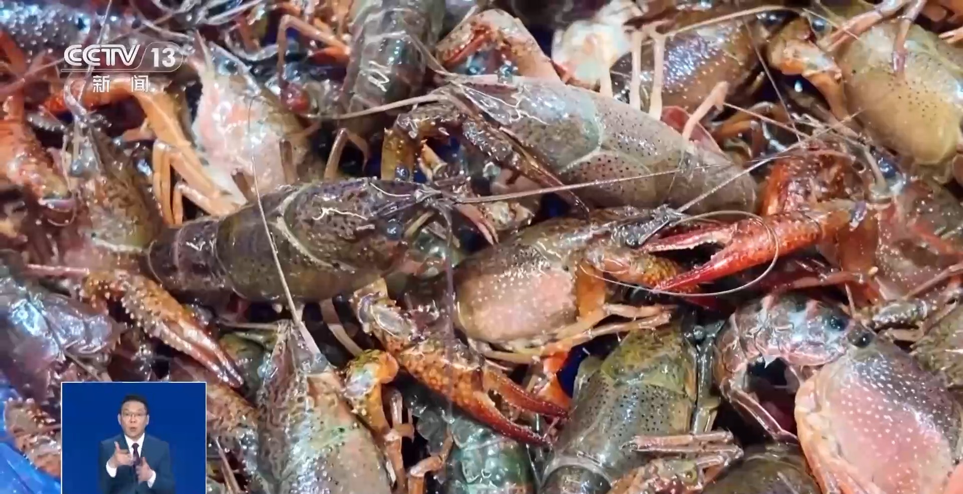 春天吃什么？这份春菜地图请查收