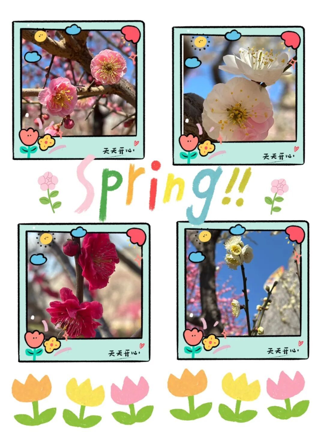 梅花盛放！京城“梅园”汇总来了