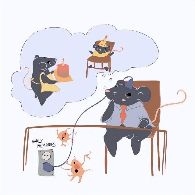 你小时候的记忆去哪了?真的被大脑删除了吗?答案出乎意料 你小时候的记忆去哪了?真的被大脑删除了吗?答案出乎意料