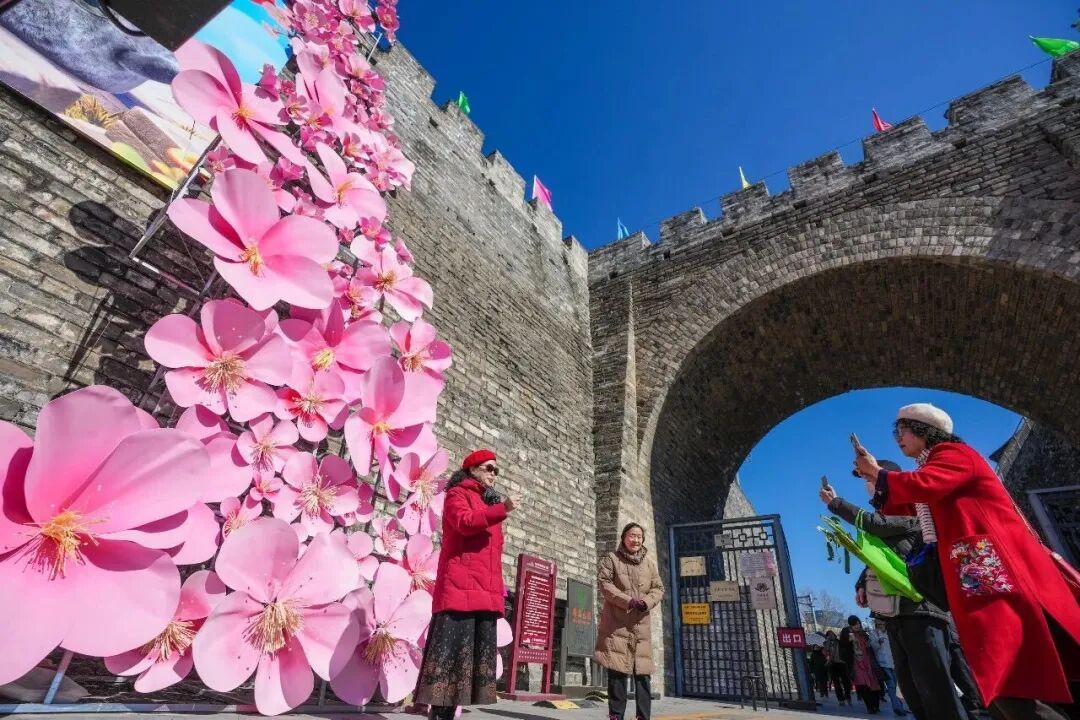 梅花盛放！京城“梅园”汇总来了