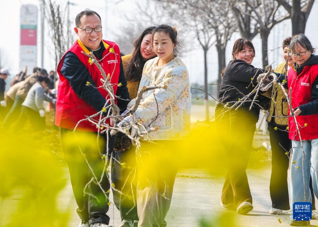 春来植树添新绿 春来植树添新绿
