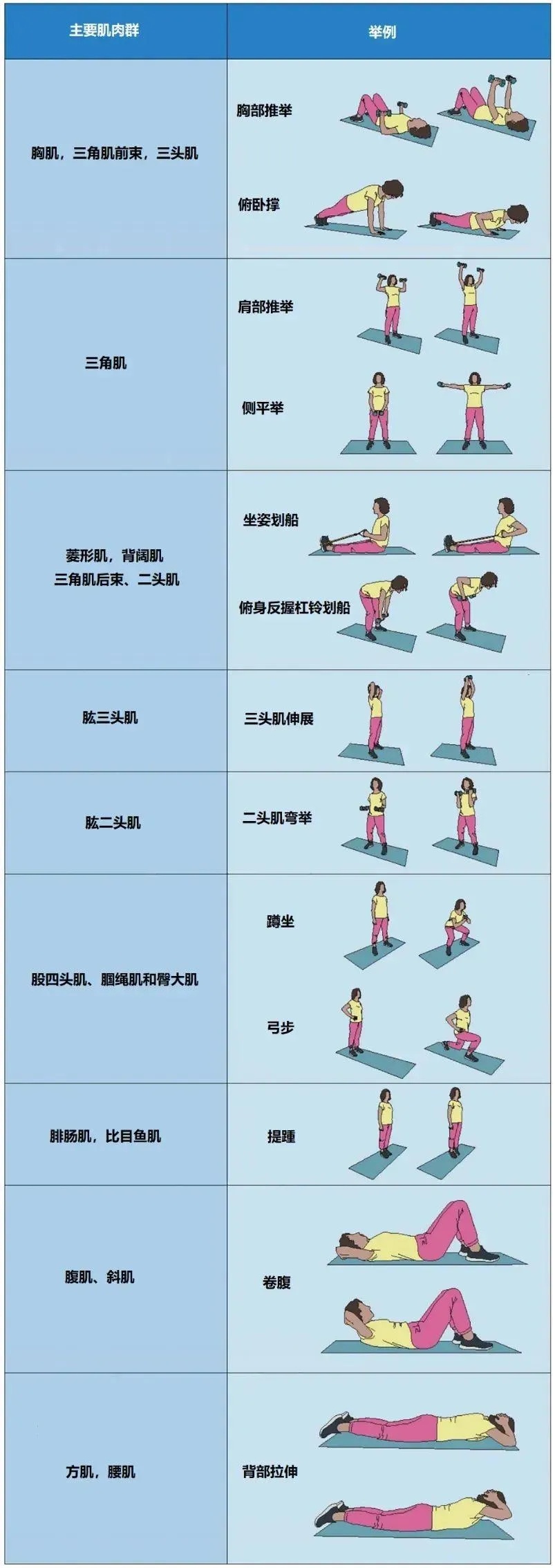 每周2次抗阻运动，有助于改善心血管功能