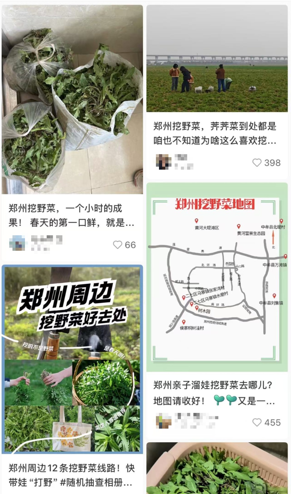 大量上市！近期郑州人挖疯了，有人却“吃进急诊室”，医生紧急提醒→